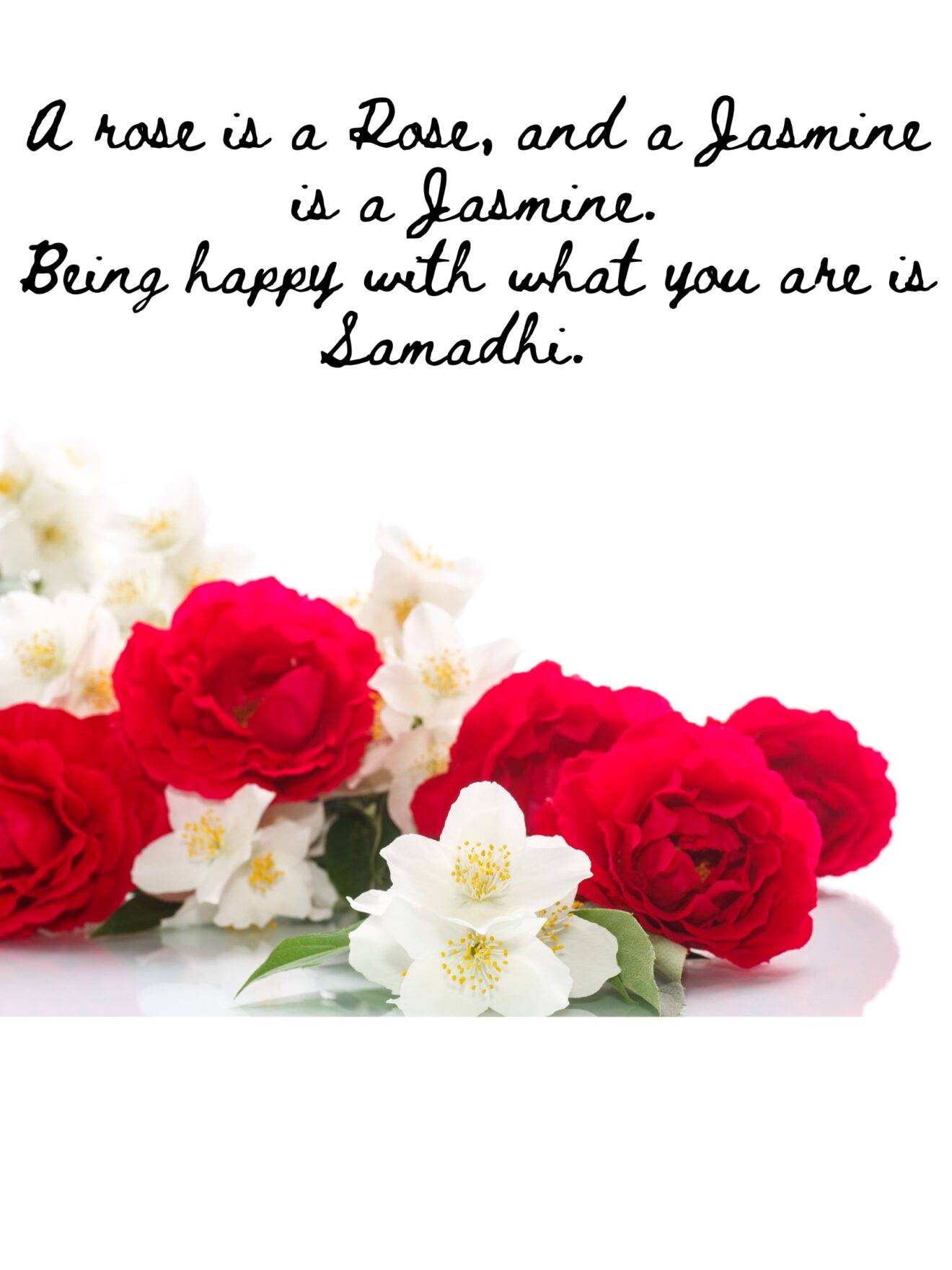 Rose is a rose… Practicalspirituallife