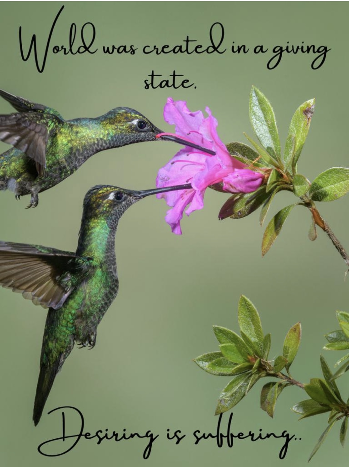 Giving Vs Receiving Practicalspirituallife giving-vs-receiving-practicalspirituallife